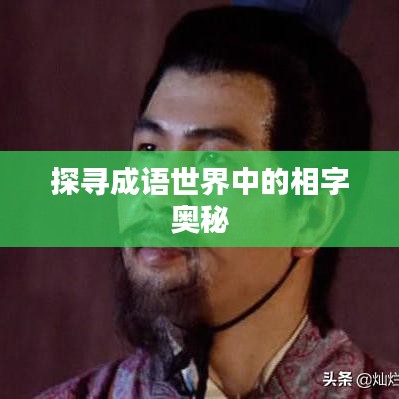 探寻成语世界中的相字奥秘
