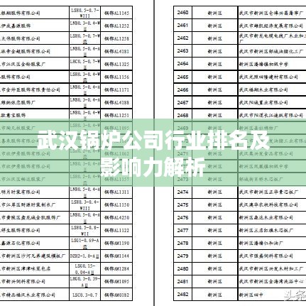 武汉锅炉公司行业排名及影响力解析