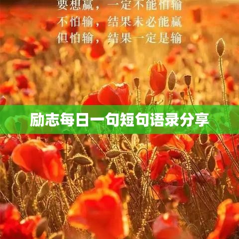 联系方式 第156页