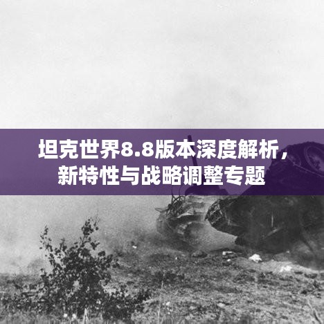 坦克世界8.8版本深度解析,新特性与战略调整专题