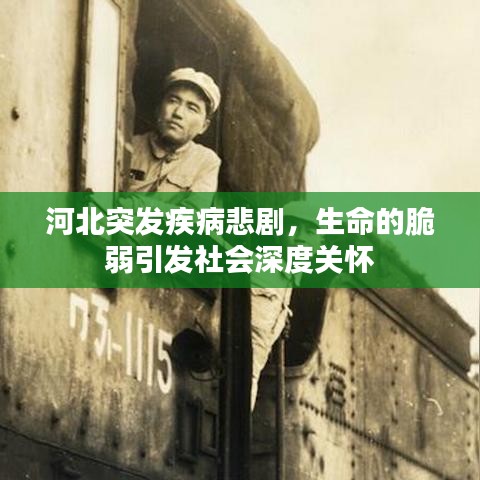 设计师团队 第163页