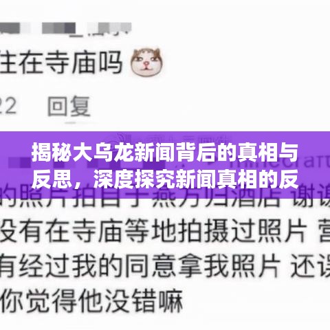 揭秘大乌龙新闻背后的真相与反思,深度探究新闻真相的反思之旅