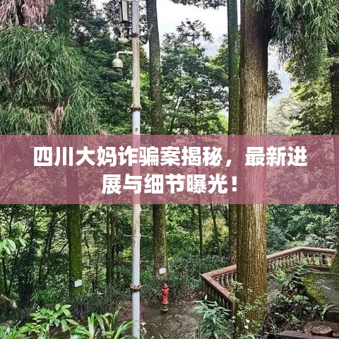 四川大妈诈骗案揭秘，最新进展与细节曝光！