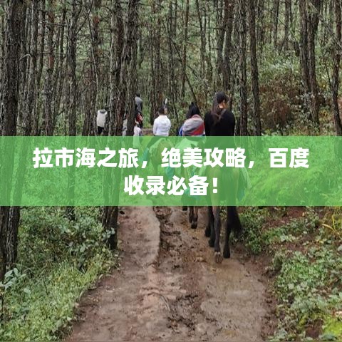 纲举目张 第4页