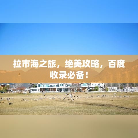 拉市海之旅,绝美攻略,百度收录必备!