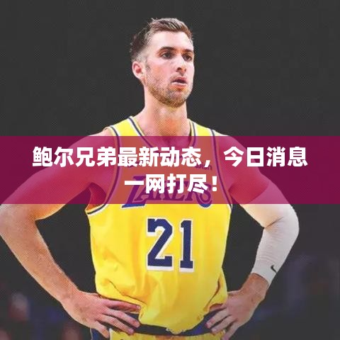 鲍尔兄弟最新动态,今日消息一网打尽!