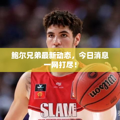鲍尔兄弟最新动态，今日消息一网打尽！