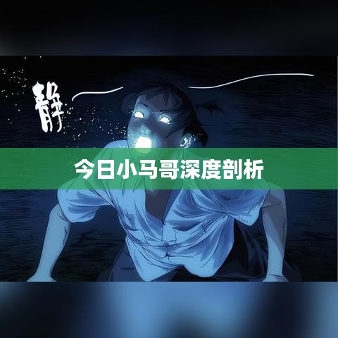 今日小马哥深度剖析