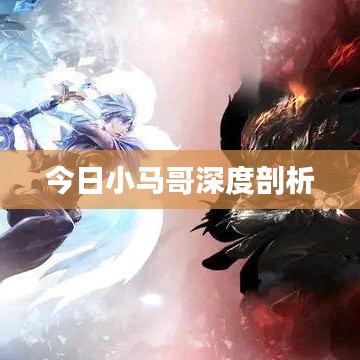 今日小马哥深度剖析