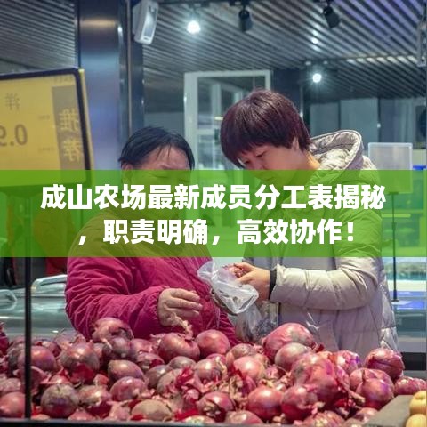 成山农场最新成员分工表揭秘，职责明确，高效协作！