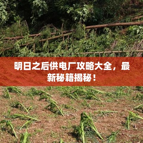 明日之后供电厂攻略大全,最新秘籍揭秘!