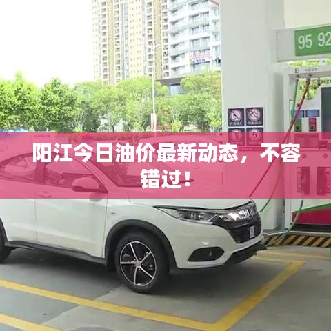 阳江今日油价最新动态，不容错过！