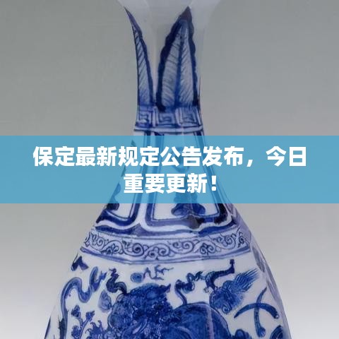 虚张声势 第3页