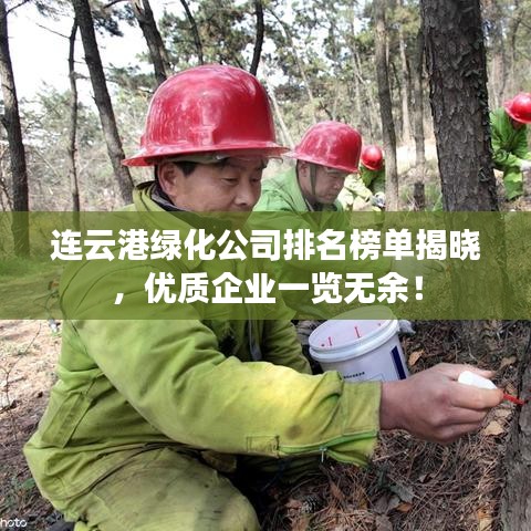 连云港绿化公司排名榜单揭晓,优质企业一览无余!