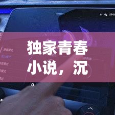 独家青春小说,沉浸式阅读体验,引人入胜的故事之旅