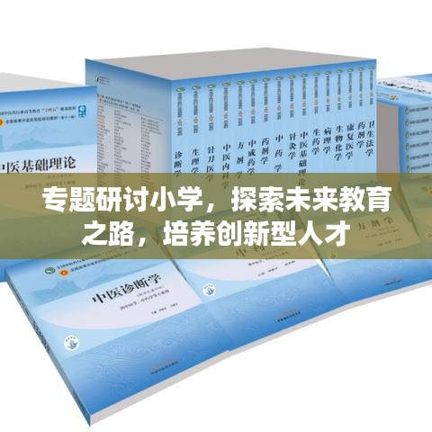 专题研讨小学,探索未来教育之路,培养创新型人才