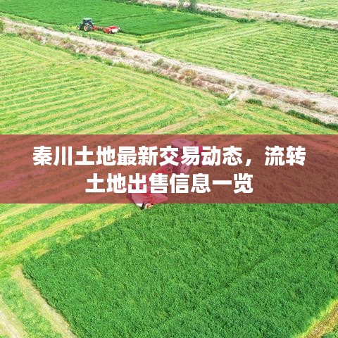 秦川土地最新交易动态,流转土地出售信息一览