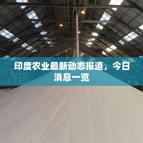 印度农业最新动态报道,今日消息一览