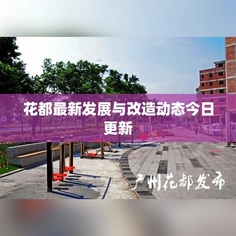 花都最新发展与改造动态今日更新