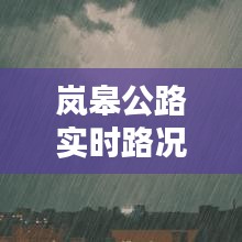 岚皋公路实时路况更新,今日路况最新消息速览