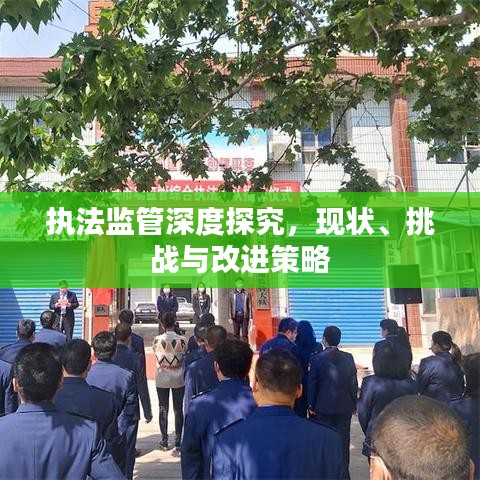执法监管深度探究,现状、挑战与改进策略