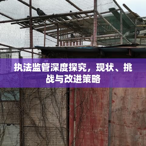 执法监管深度探究,现状、挑战与改进策略