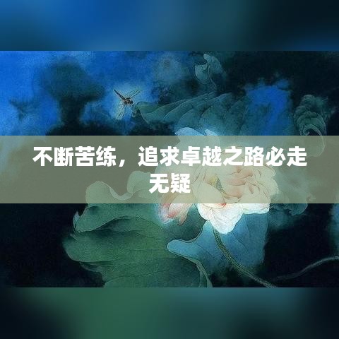 不断苦练,追求卓越之路必走无疑