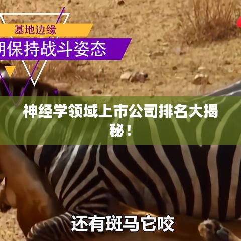 神经学领域上市公司排名大揭秘!