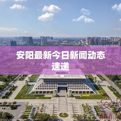 安阳最新今日新闻动态速递