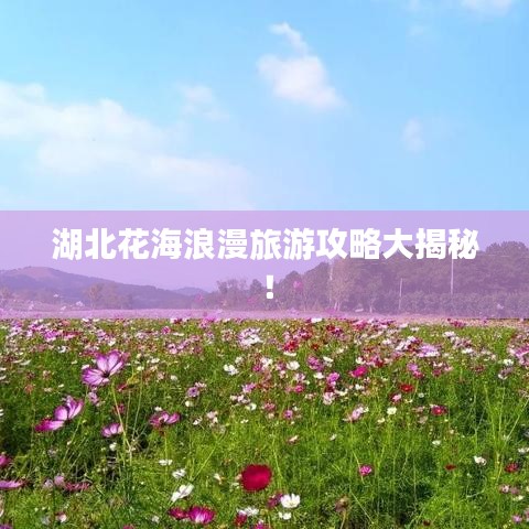 湖北花海浪漫旅游攻略大揭秘！