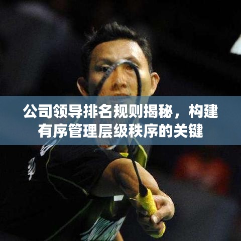 公司领导排名规则揭秘,构建有序管理层级秩序的关键