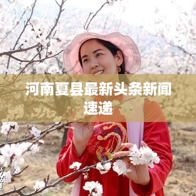 河南夏县最新头条新闻速递