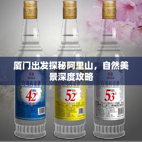 厦门出发探秘阿里山，自然美景深度攻略