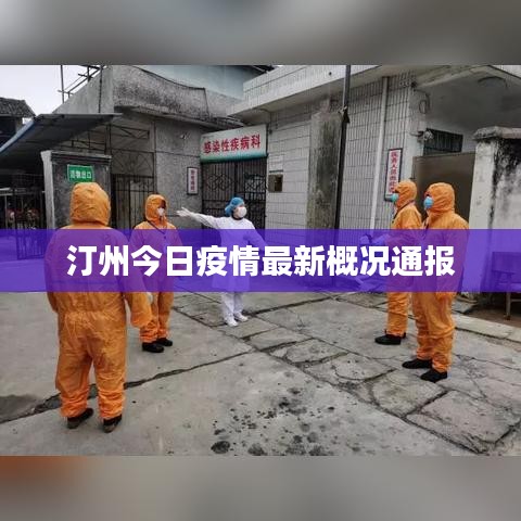 汀州今日疫情最新概况通报