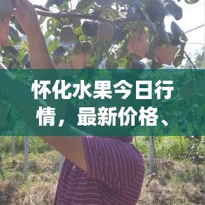 怀化水果今日行情,最新价格、市场走势及影响因素深度解析