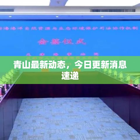 青山最新动态，今日更新消息速递