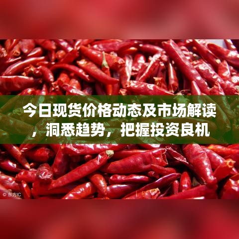 今日现货价格动态及市场解读,洞悉趋势,把握投资良机
