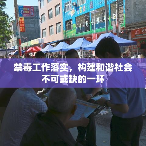 禁毒工作落实,构建和谐社会不可或缺的一环