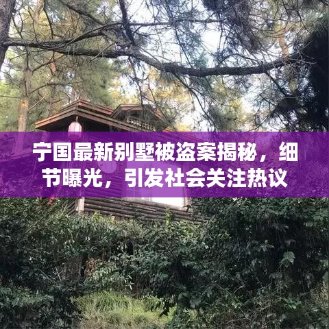 宁国最新别墅被盗案揭秘,细节曝光,引发社会关注热议