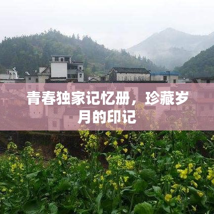 青春独家记忆册,珍藏岁月的印记