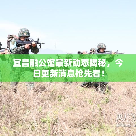 宜昌融公馆最新动态揭秘,今日更新消息抢先看!
