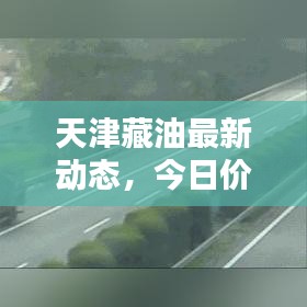 在线咨询 第142页