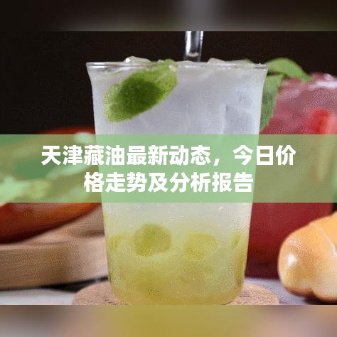 天津藏油最新动态,今日价格走势及分析报告