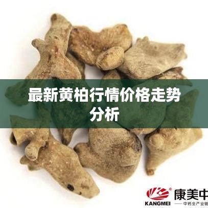 最新黄柏行情价格走势分析