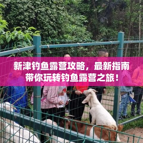 新津钓鱼露营攻略，最新指南带你玩转钓鱼露营之旅！