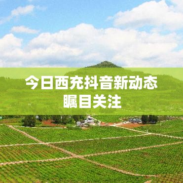今日西充抖音新动态瞩目关注