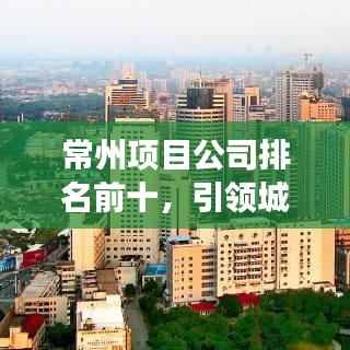 常州项目公司排名前十,引领城市发展的领军企业
