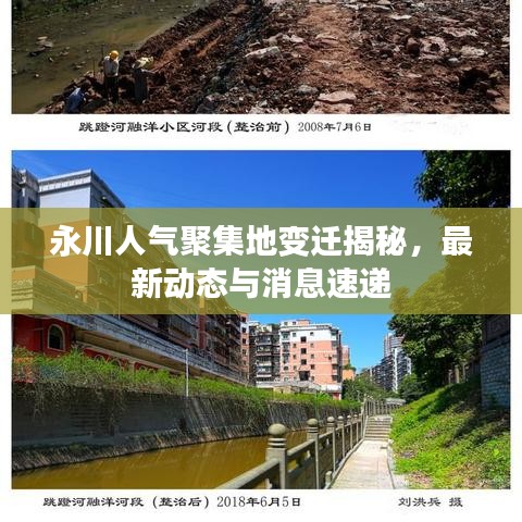 采椽不斫 第3页