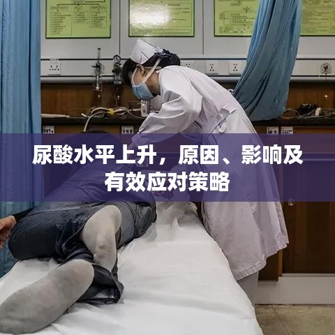 尿酸水平上升,原因、影响及有效应对策略