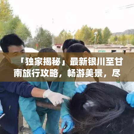 「独家揭秘」最新银川至甘南旅行攻略，畅游美景，尽享风情！